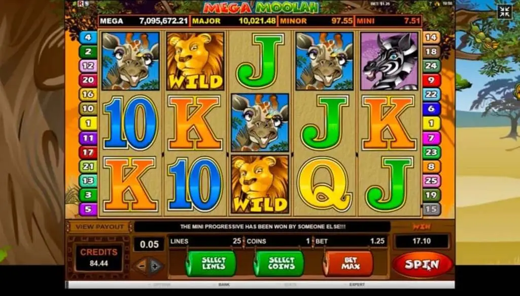 Bonuses and Special Features of Mega Moolah Slot